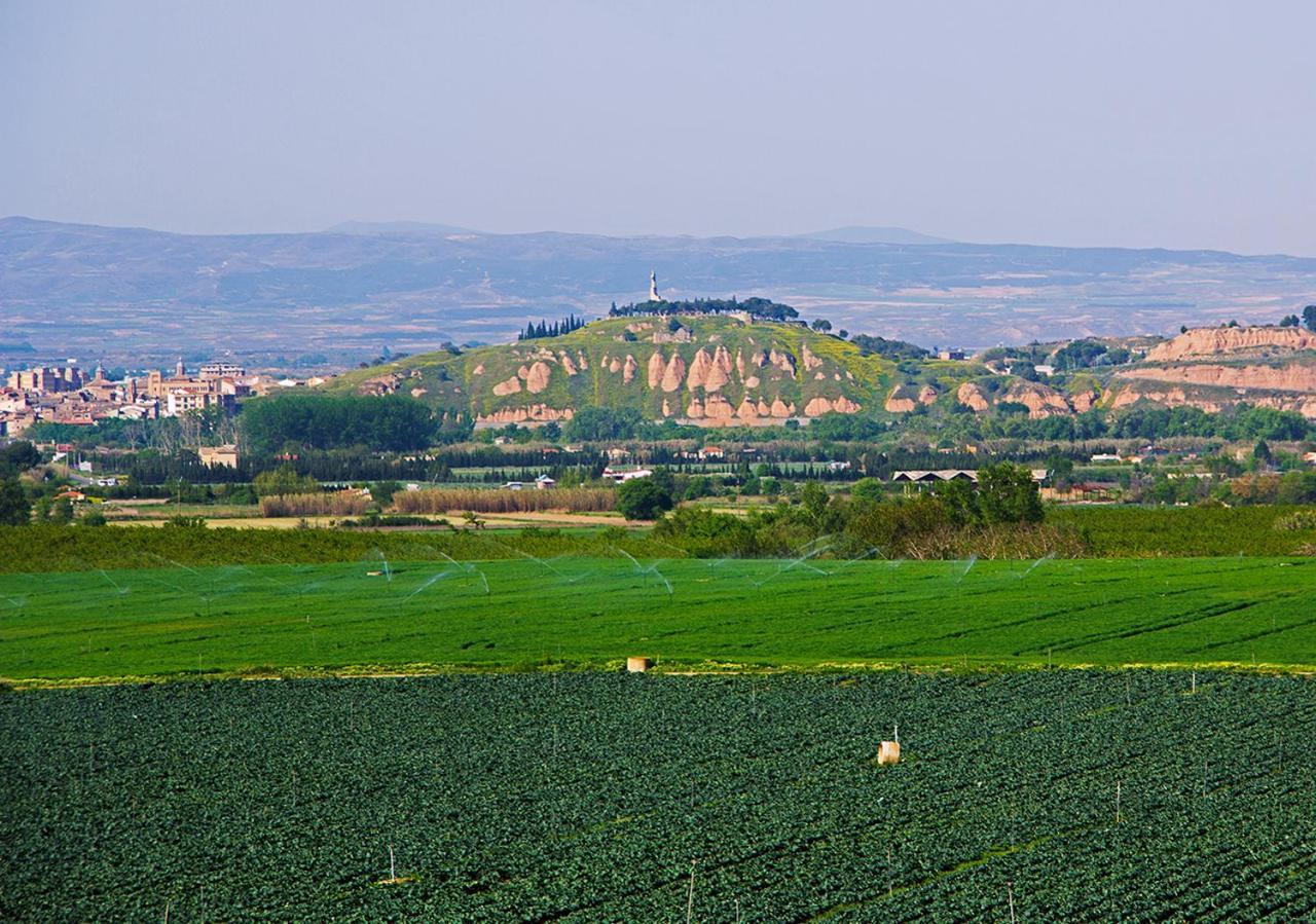 Hostal La Parrilla Tudela Exteriör bild